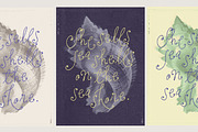 Sugar Pie Honey Curly Font, a Handwritten Font by Nicky Laatz (Thumbnail 7 of 12)