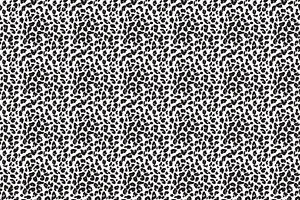 Black and White Cheetah Animal Skin, a Pattern Graphic by AAN Seamless Shop