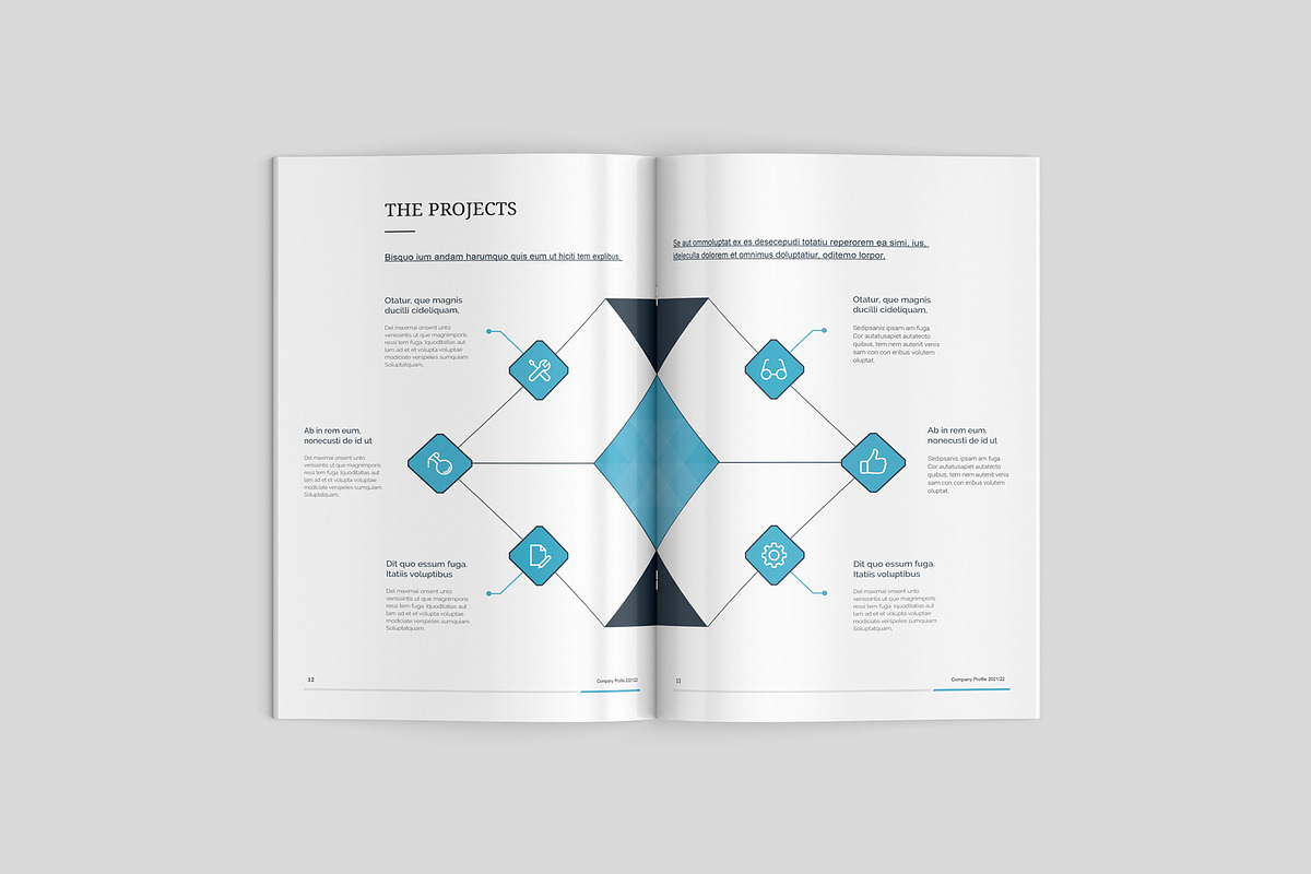 The Profile Brochure, a Brochure Template by Brochure-Market (Photo 7 of 10)
