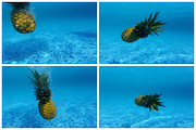 Underwater Pineapple Collection, a Nature Photo by Pineapple Shop (Thumbnail 3 of 4)