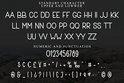 Just Moment, a Sans Serif Font by FreshTypeINK (Thumbnail 7 of 8)