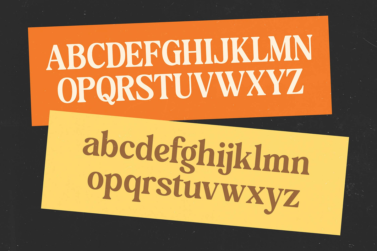 Bakeri Modern Retro Serif Font, a Serif Font by timelesstype.co (Photo 17 of 20)