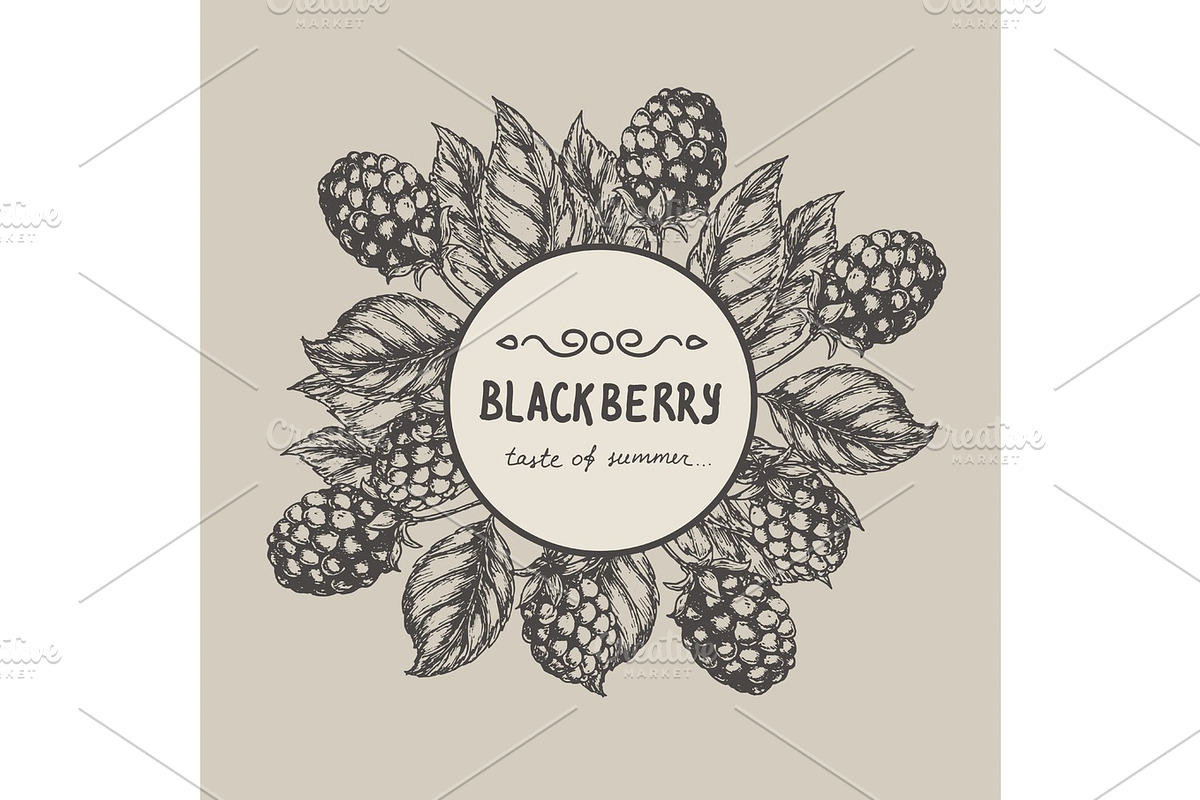 Blackberry Raspberry design template. Blackberry Raspberry branch engraving illustration. Vector illustration, a Food Illustration by SHom
