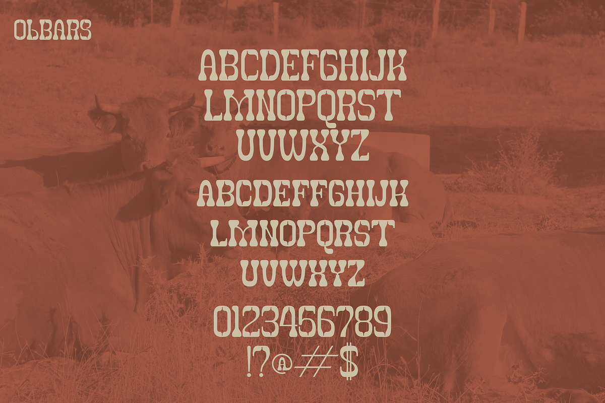 Olbars | Western Font, a Slab Serif Font by gracetype_studio (Photo 13 of 15)