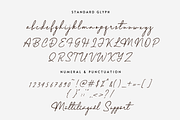 Elegant Lady, a Script Font by Sronstudio (Thumbnail 11 of 13)