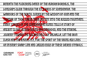 Scandinaufan Runes Font, a Serif Font by Fontcamp Type Foundry (Thumbnail 5 of 16)