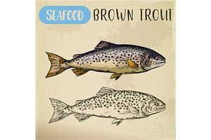 Brown or finnock trout sketch. Fish and seafood, an Animal Illustration by Elegant Solution