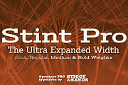 Stint Ultra Expanded Pro Family, a Serif Font by Stiggy & Sands (Thumbnail 1 of 5)