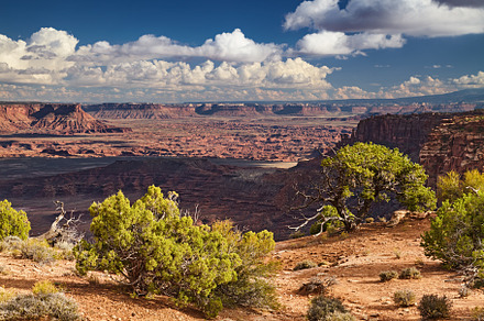 Canyonlands National Park, USA