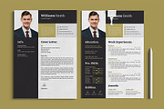 Resume/CV Template, a Resume Template by TheStyle-2 (Thumbnail 2 of 4)