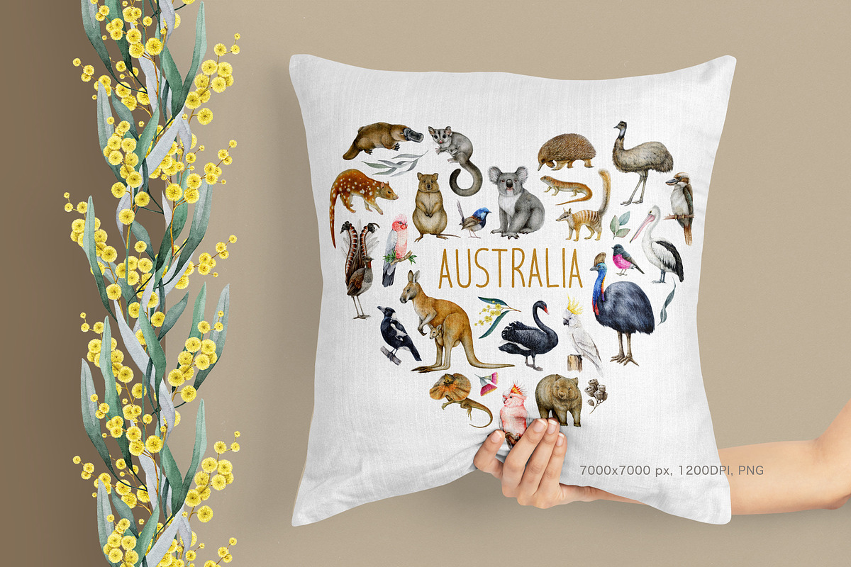 Australia Flora Fauna Clipart, an Animal Illustration by AnitaPol (Photo 20 of 27)