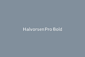 HalvorsenPro Bold