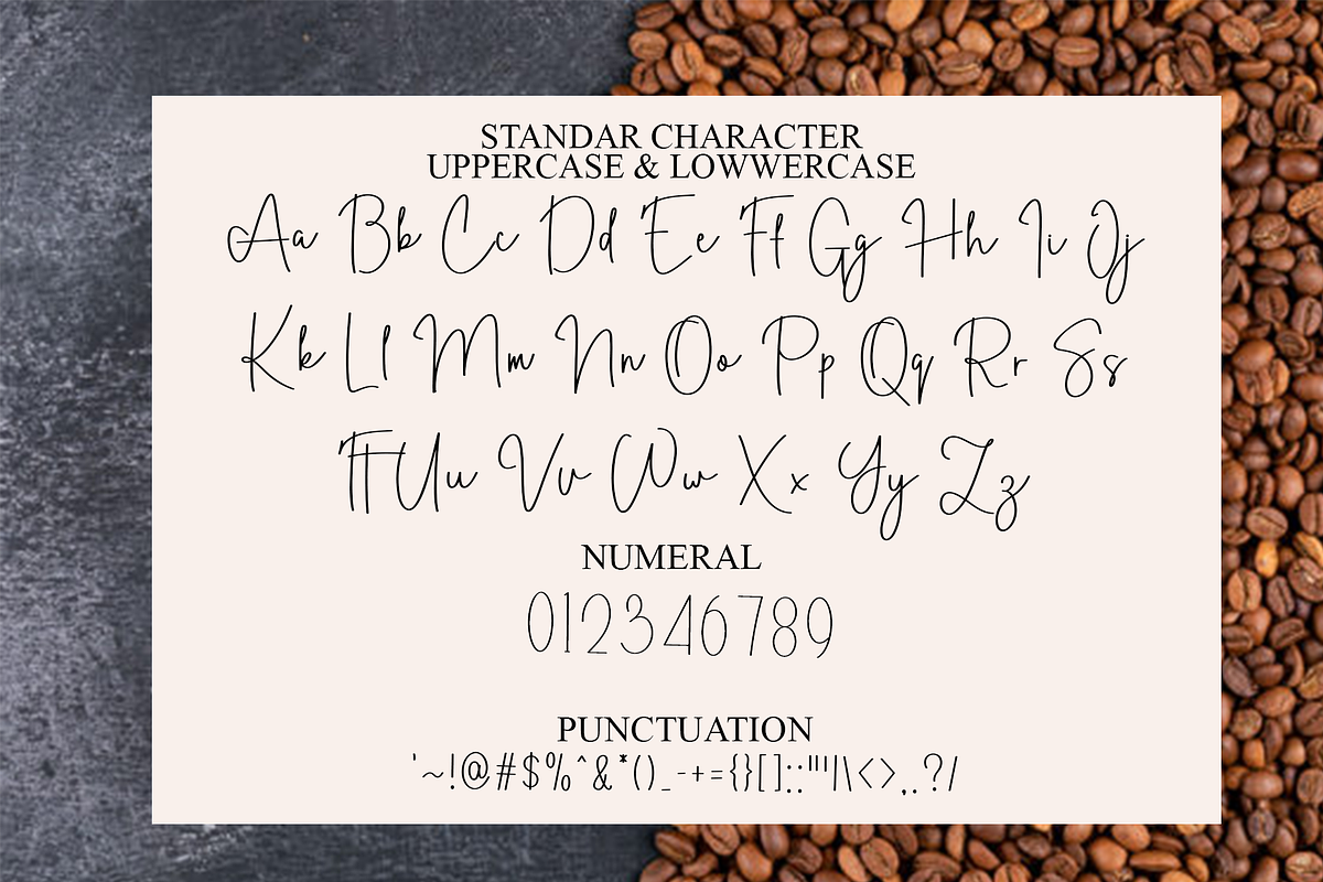 Besthetical, a Handwritten Font by FreshTypeINK (Photo 8 of 8)