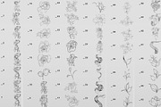 Procreate Snake stamps with flowers., a Brushes & More by AnnaPolitmerskaja (Thumbnail 5 of 8)