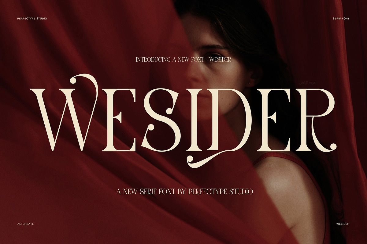 Wesider Elegant Serif Font, a Serif Font by Perfectype (Photo 1 of 8)