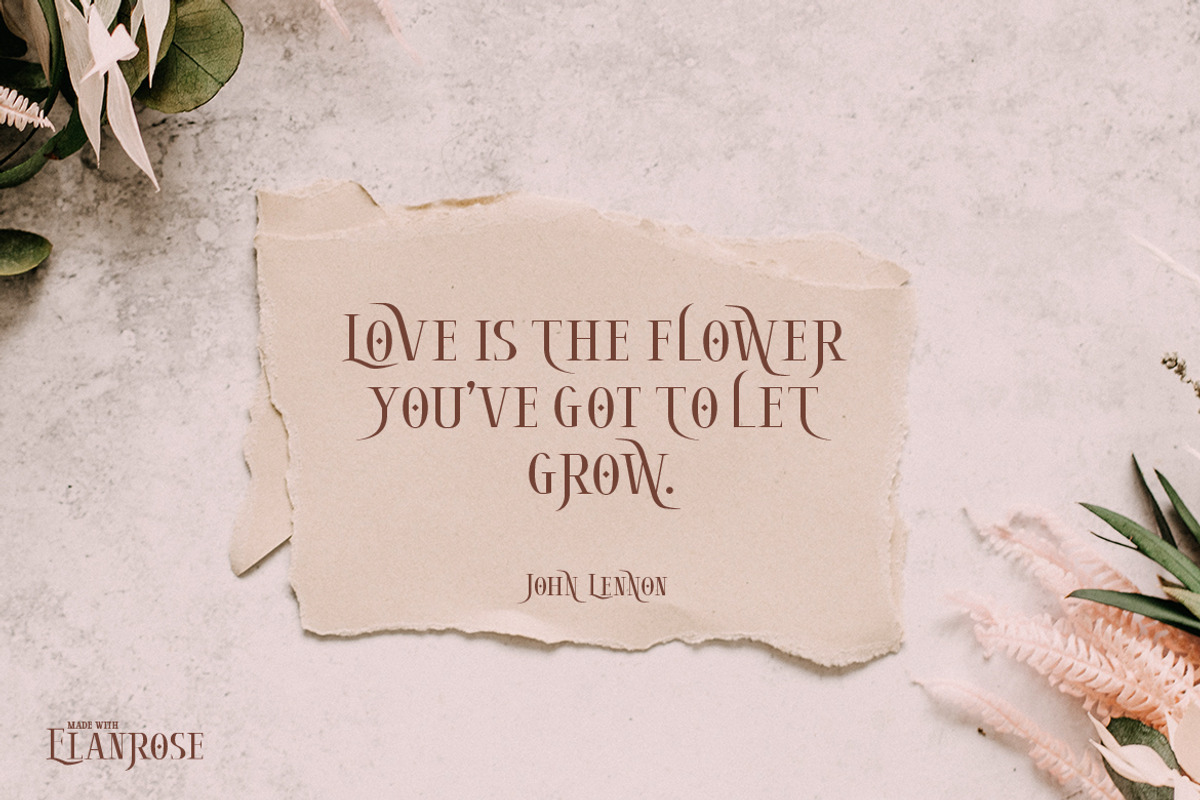 Elanrose, a Serif Font by kerismaker (Photo 9 of 12)