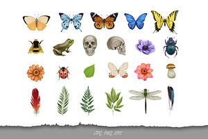 Butterfly Collection/Pattern Design