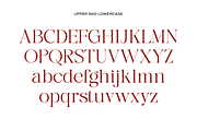 Gladier - A Modern Serif Font, a Serif Font by Comactype Foundry (Thumbnail 20 of 22)