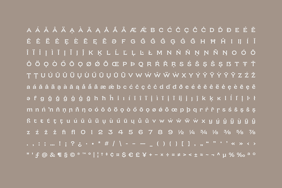 Chronique, a Serif Font by Haus Type (Photo 7 of 7)