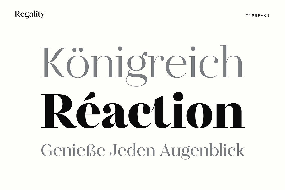 Regality - Classic and Elegant Serif, a Font by Digitype Studio (Photo 8 of 10)