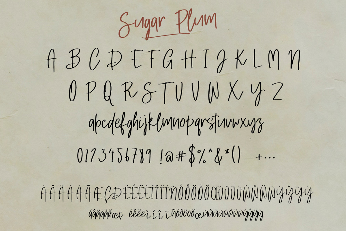Sugar Plum with Extra Doodle, a Script Font by Artstudio (Photo 9 of 11)