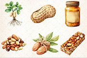 Almond Peanut Cashew Watercolor Clip, an Illustration by Rose Art (Thumbnail 3 of 7)