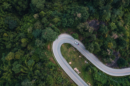 mountain road and green trees from above, a Nature Photo by Art Rachen