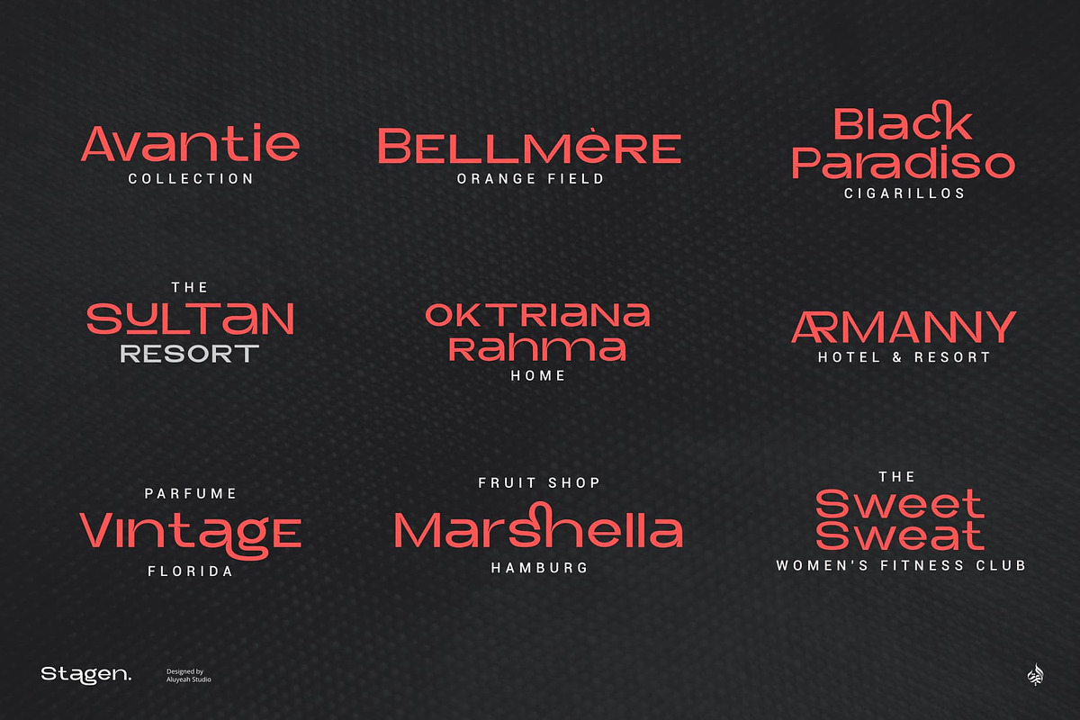 Stagen | Modern Display Sans Serif, a Sans Serif Font by Aluyeah Studio (Photo 14 of 15)