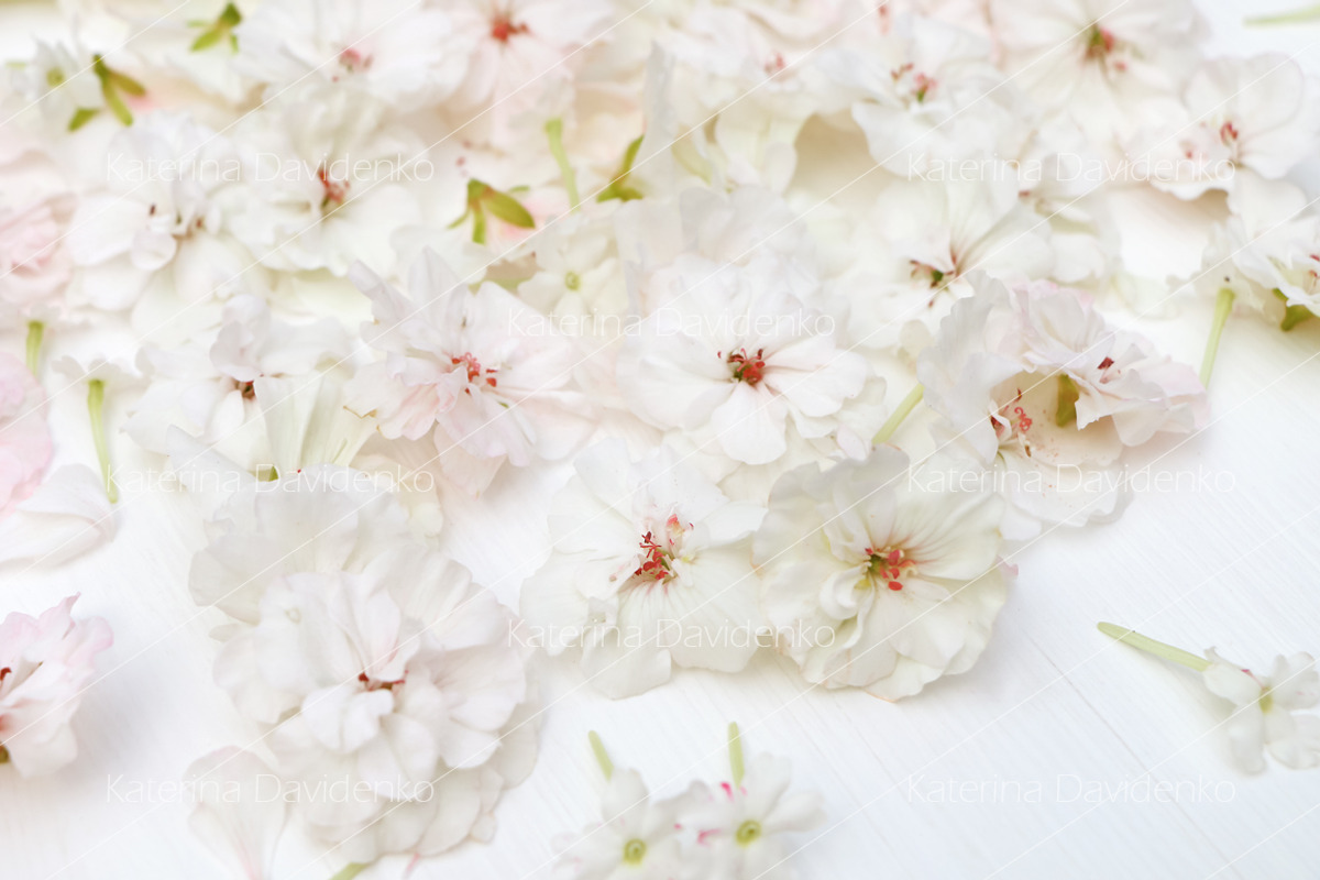 Styled photos bundle, a Background Photo by Bubert Art (Photo 7 of 12)