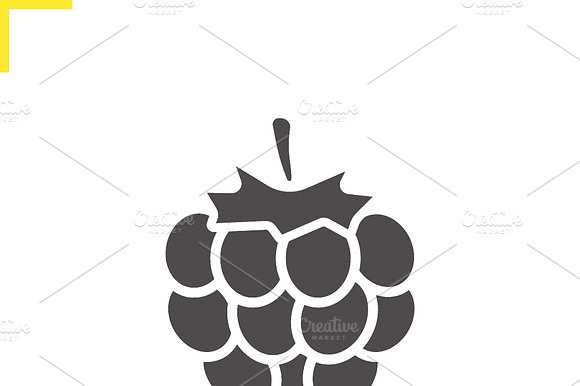 Raspberry Icon. Vector