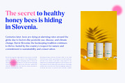Delvona Serif Family, a Serif Font by Mulkan Nazir (Thumbnail 13 of 15)