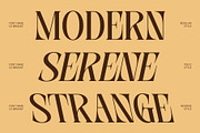 CS Brigant – Modern Serif Font, a Serif Font by Craft Supply Co. (Thumbnail 2 of 8)