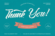 Contynew Kastifu Bold Calligraphy, a Script Font by stylishtype.co (Thumbnail 15 of 15)