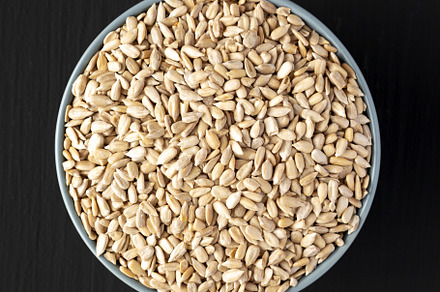 Raw Organic Sunflower Seed Kernels in a Blue Bowl, top view. Fla, a Background Photo by LiudmylaChuhunova