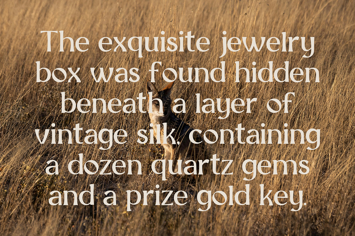 Mackora - Elegant Display Serif Font, a Serif Font by Indotype Foundry (Photo 2 of 10)