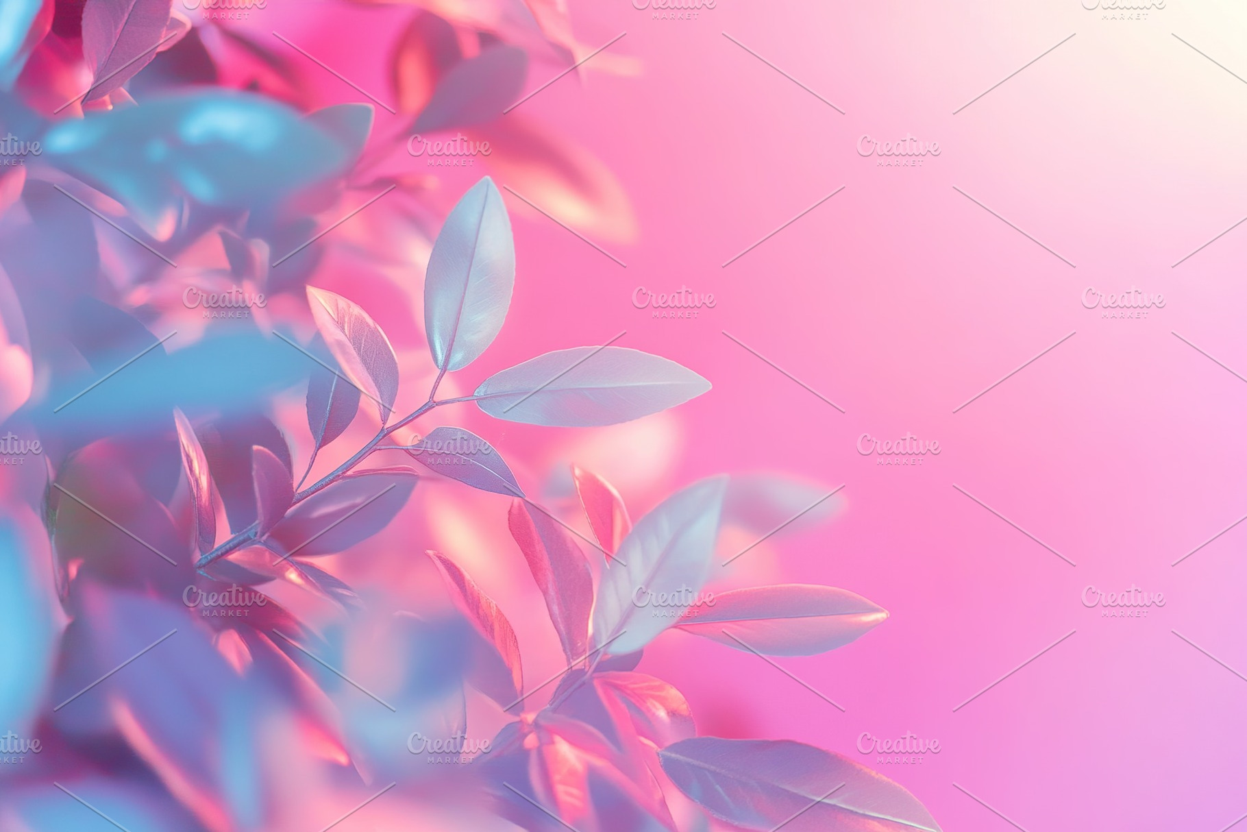 Beautiful tree leafs in pastel colors on pink background, a Background Photo by AlyaAnd