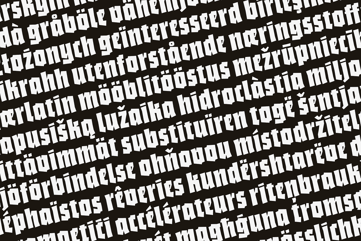 Bork: a blackletter-inspired font, a Blackletter Font by Harbor Type (Photo 5 of 12)
