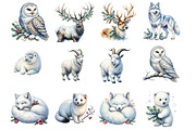 Watercolour Winter Arctic Animals, a Seasonal Illustration by fashionaddict (Thumbnail 4 of 7)