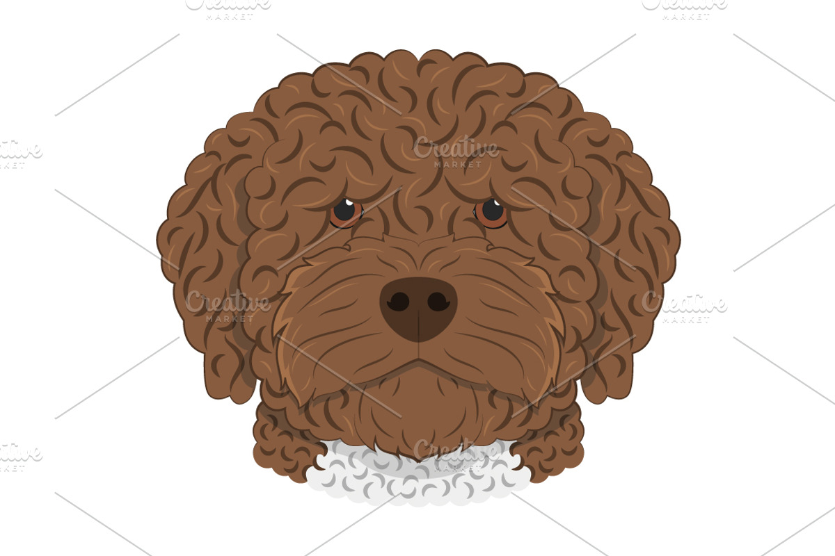 30x Dog breeds Set 2, an Animal Illustration by asantosg (Photo 4 of 7)