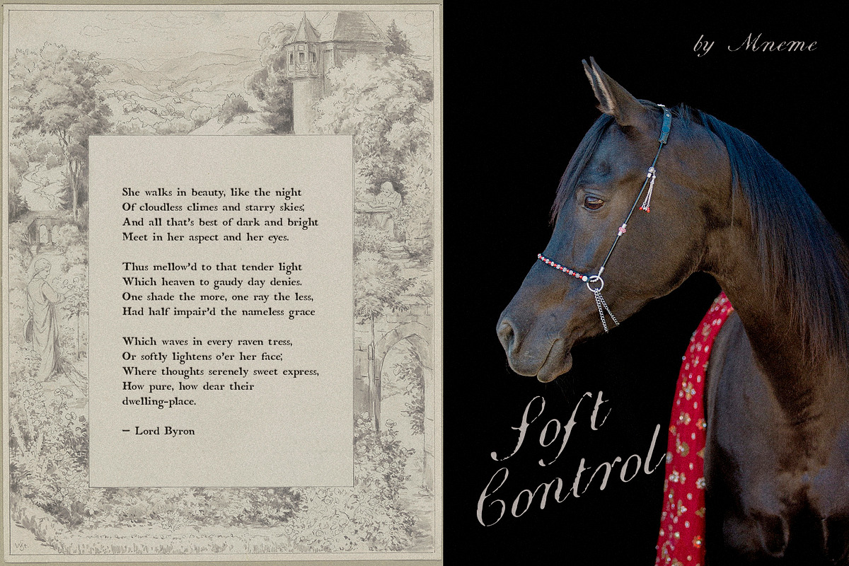 Montague - Script & Rough Duo, a Script Font by Mneme (Photo 4 of 11)