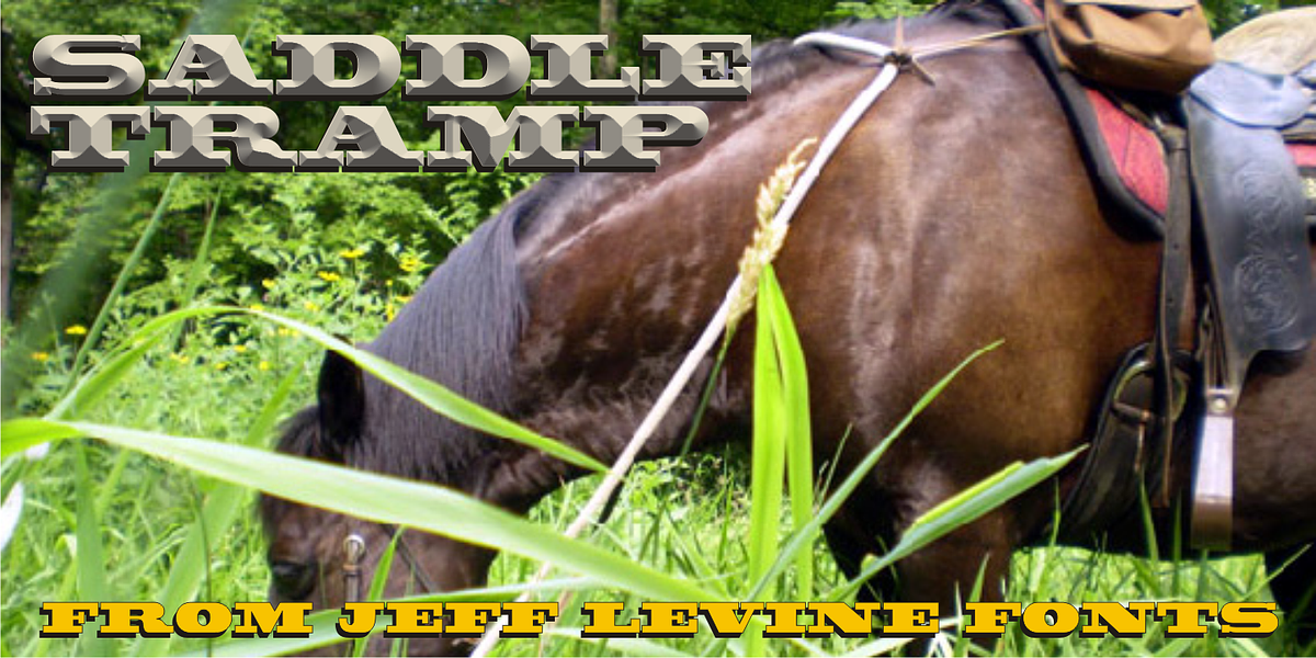 Saddle Tramp JNL, a Slab Serif Font by Jeff Levine Fonts