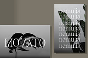 Avander | Modern Stylish, a Serif Font by Muntab_Art (Thumbnail 5 of 13)