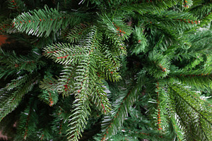 Artificial Christmas tree branches creating a green holiday background, a Holiday Photo by Antonio Gravante Market