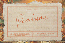 Pealune Script Font