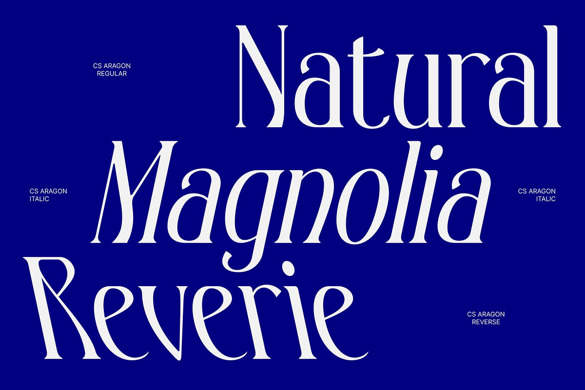 CS Aragon – Modern Serif Font, a Serif Font by Craft Supply Co. (Photo 3 of 8)