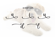 Bernard | Script Font, a Handwritten Font by Scratchones (Thumbnail 8 of 9)