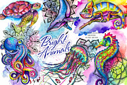 Set of bright watercolor animals, an Animal Illustration by Siriliadka Dreams (Thumbnail 1 of 11)
