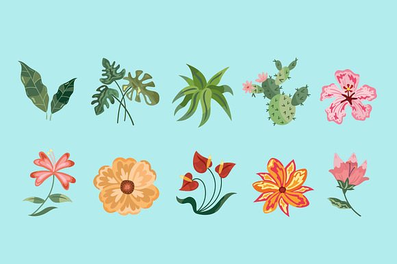 Floral & Leaf Illustration Set preview 2