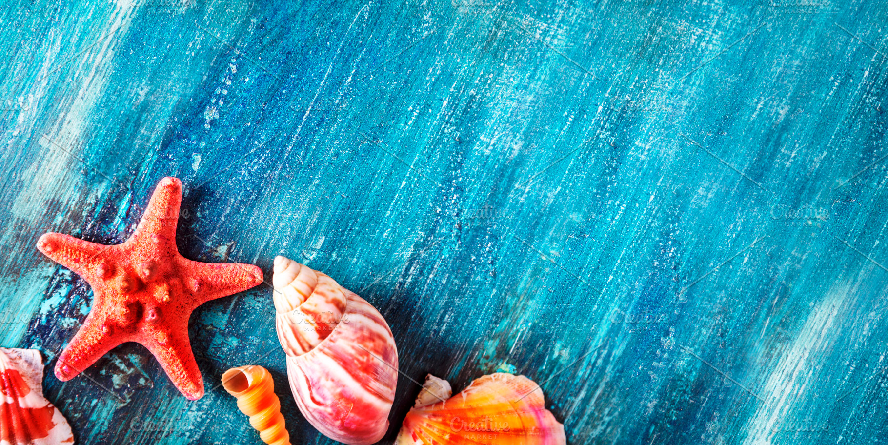 Summer holiday background banner with seashell and starfish fram, a Holiday Photo by hitdelight