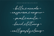 Donatellia Signature, a Script Font by Garisman Std (Thumbnail 11 of 13)
